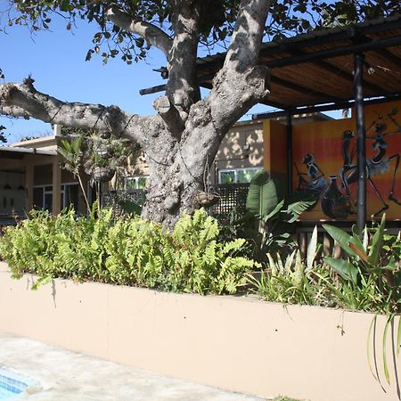 Planet Scuba Bed And Breakfast Ponta do Ouro Exteriör bild